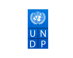 logo-undp_2